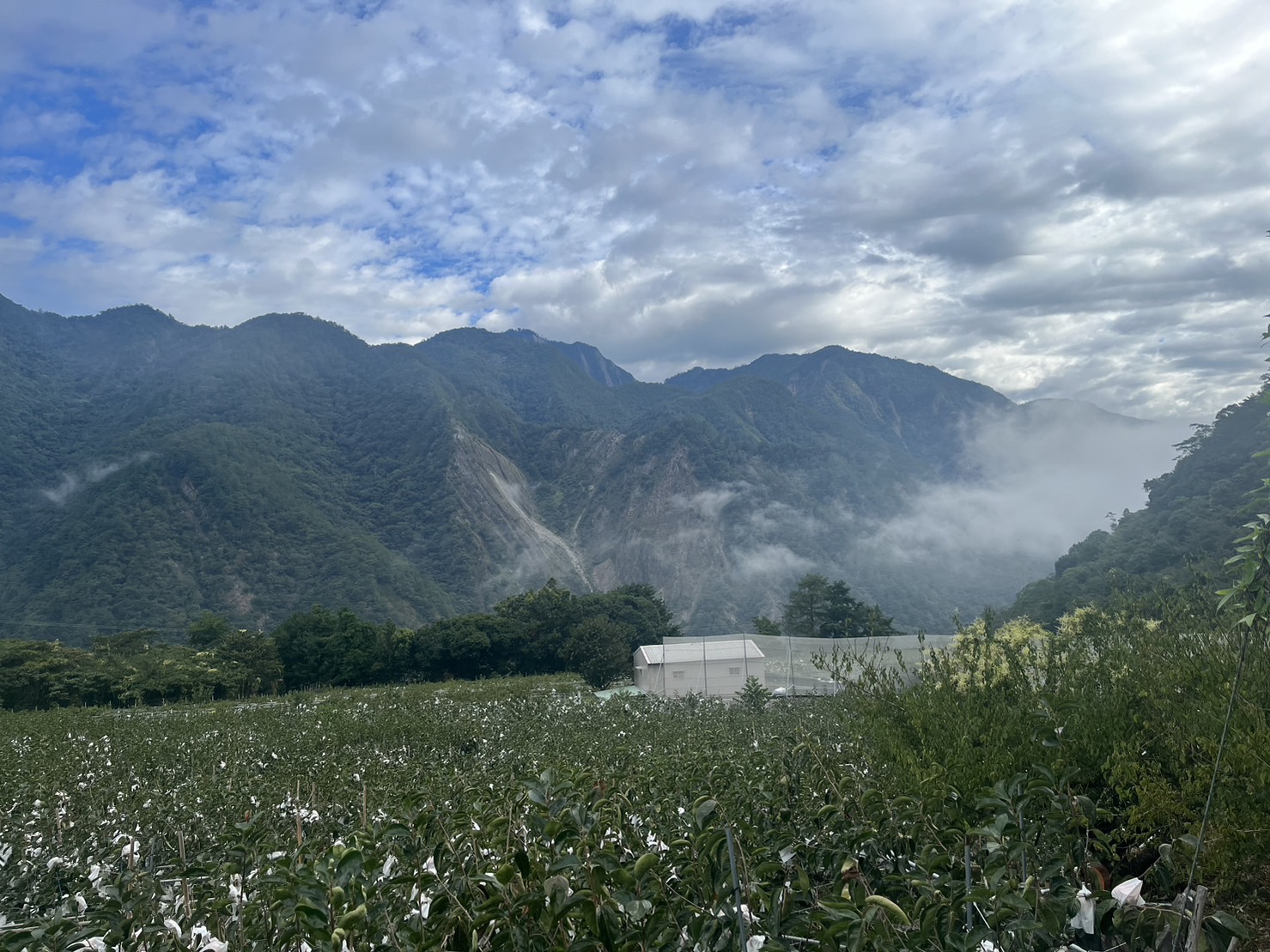 【登山系列】谷關七雄-馬崙山林奇遇